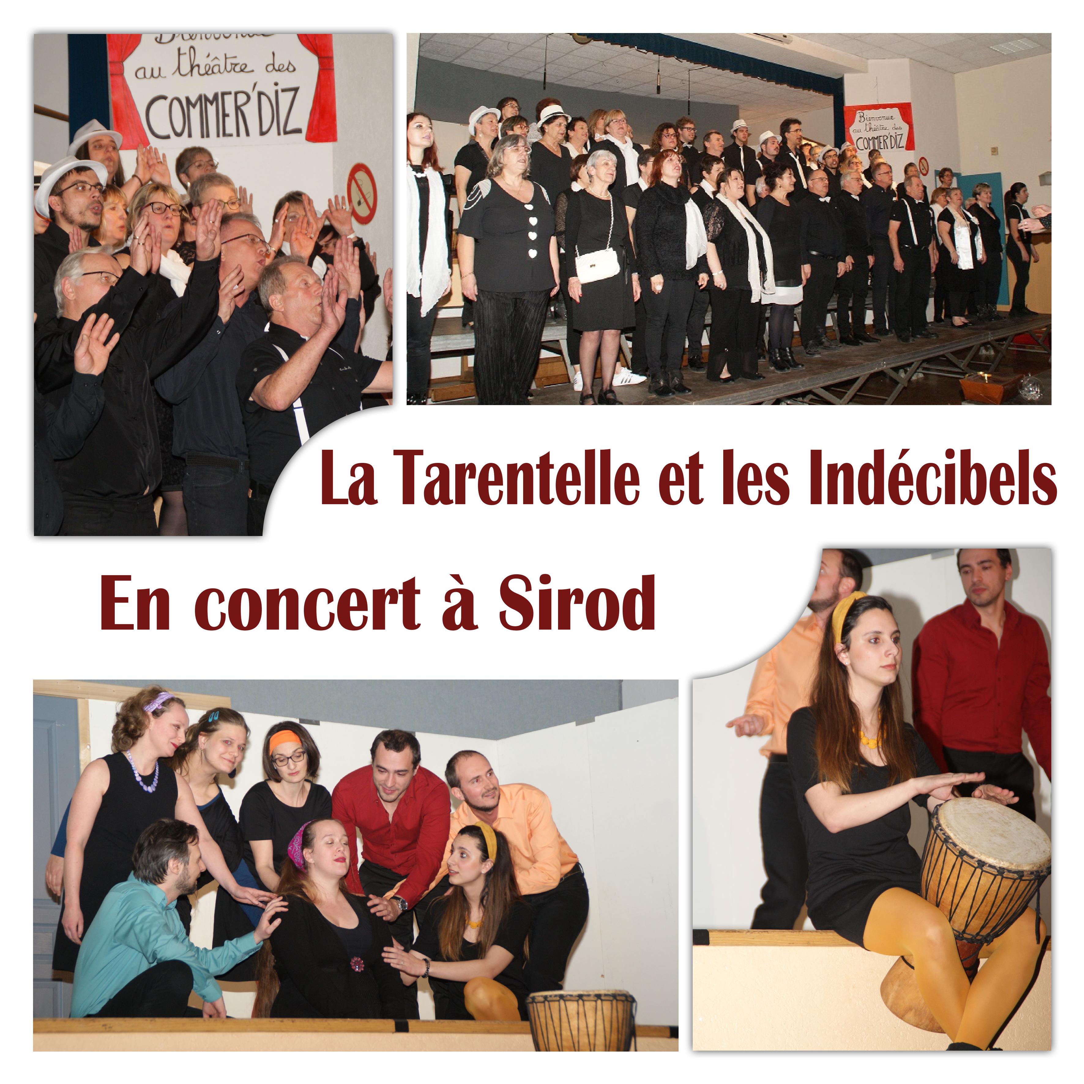 photo d'un concert avec la chorale Les Indécibels